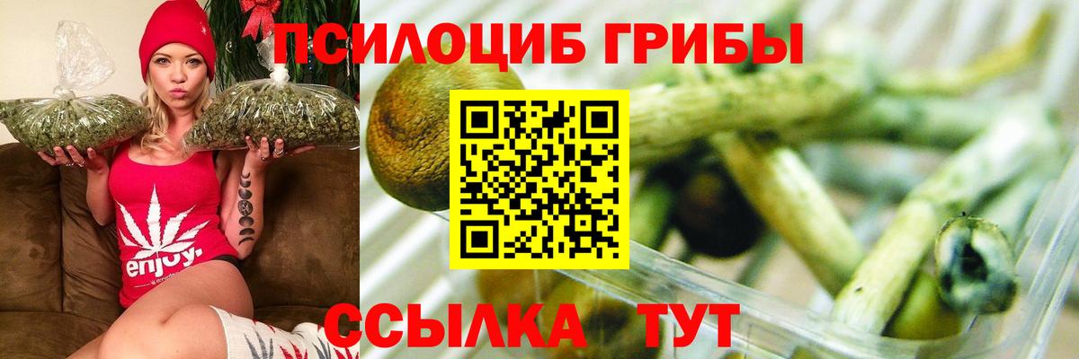 Ставрополь  закладка  Вход с VPN  Галлюциногенные грибы мухоморы  Псилоцибиновые грибы Cubensis 
