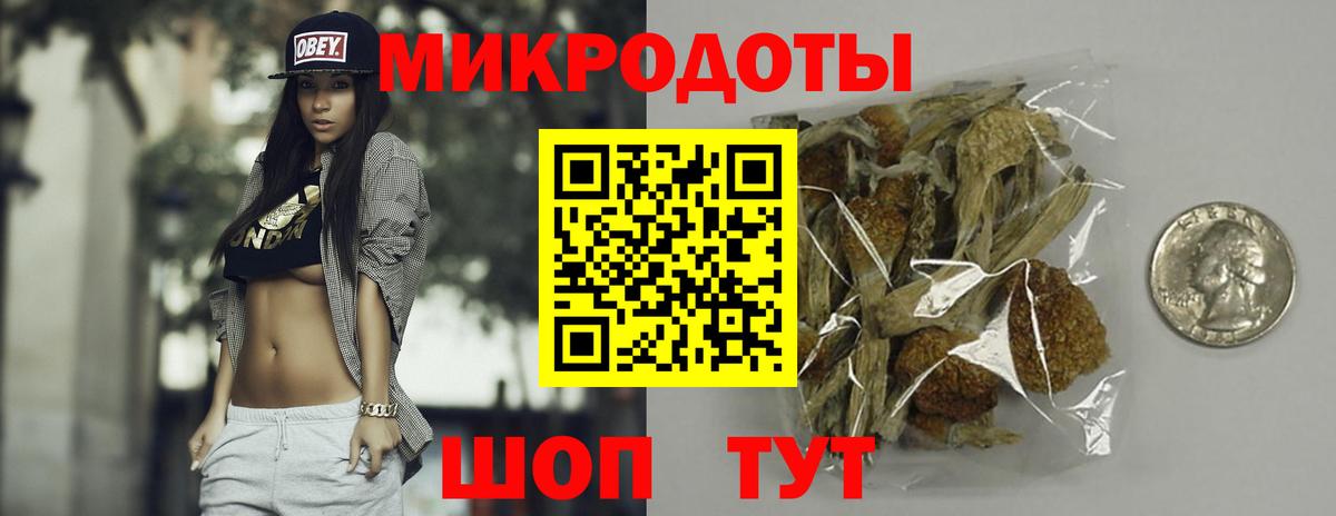 Галлюциногенные грибы Cubensis Ставрополь